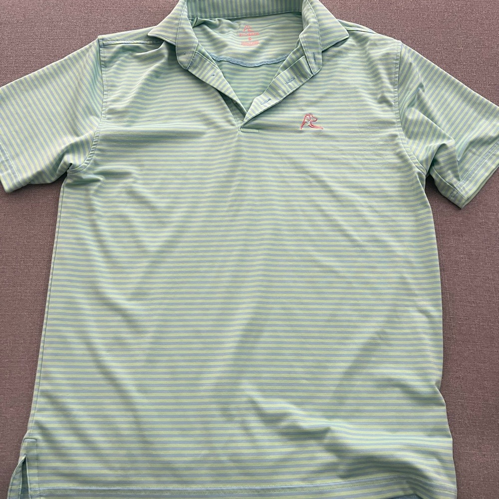Rhoback Men's Green Striped Polo Shirt